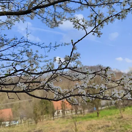Sunny House Banja Koviljača