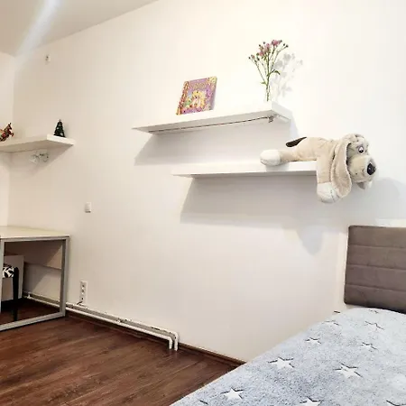 펜션 Sunny House Banja Koviljača