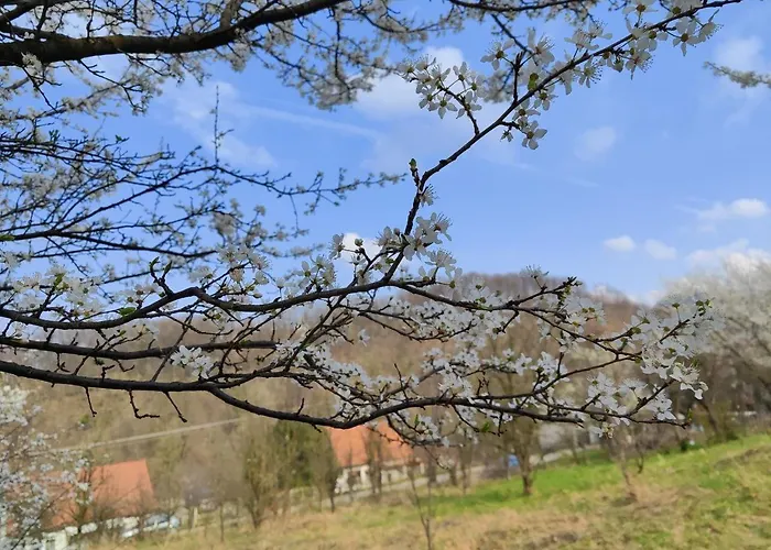 Sunny House Banja Koviljača