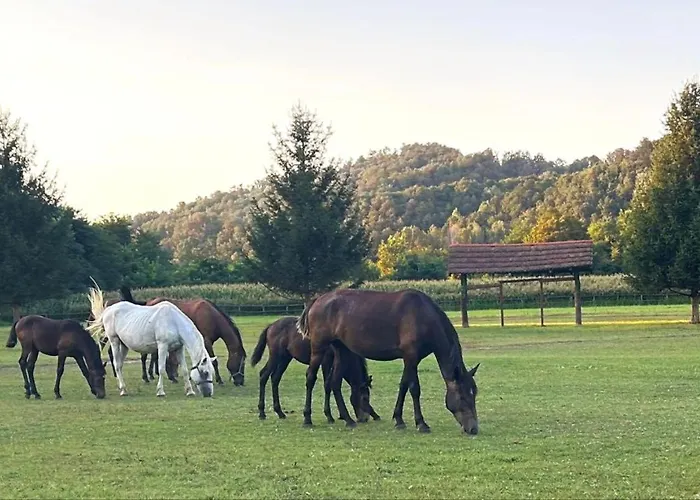 Sunny House Ferienhaus Banja Koviljača